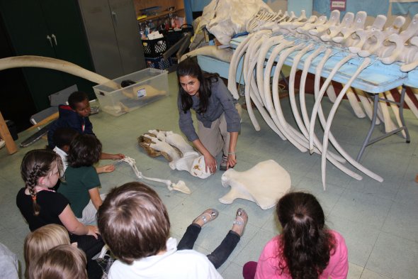 Woman showing students whale bones