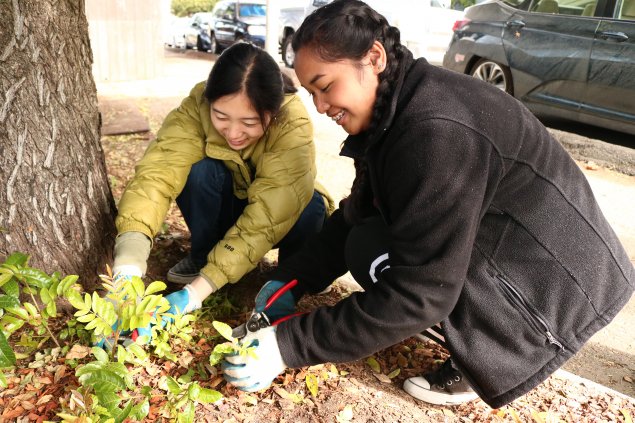 Two students on a job shadow helping plant trees. 