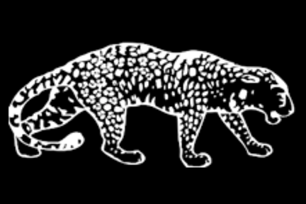 Drawing of a leopard
