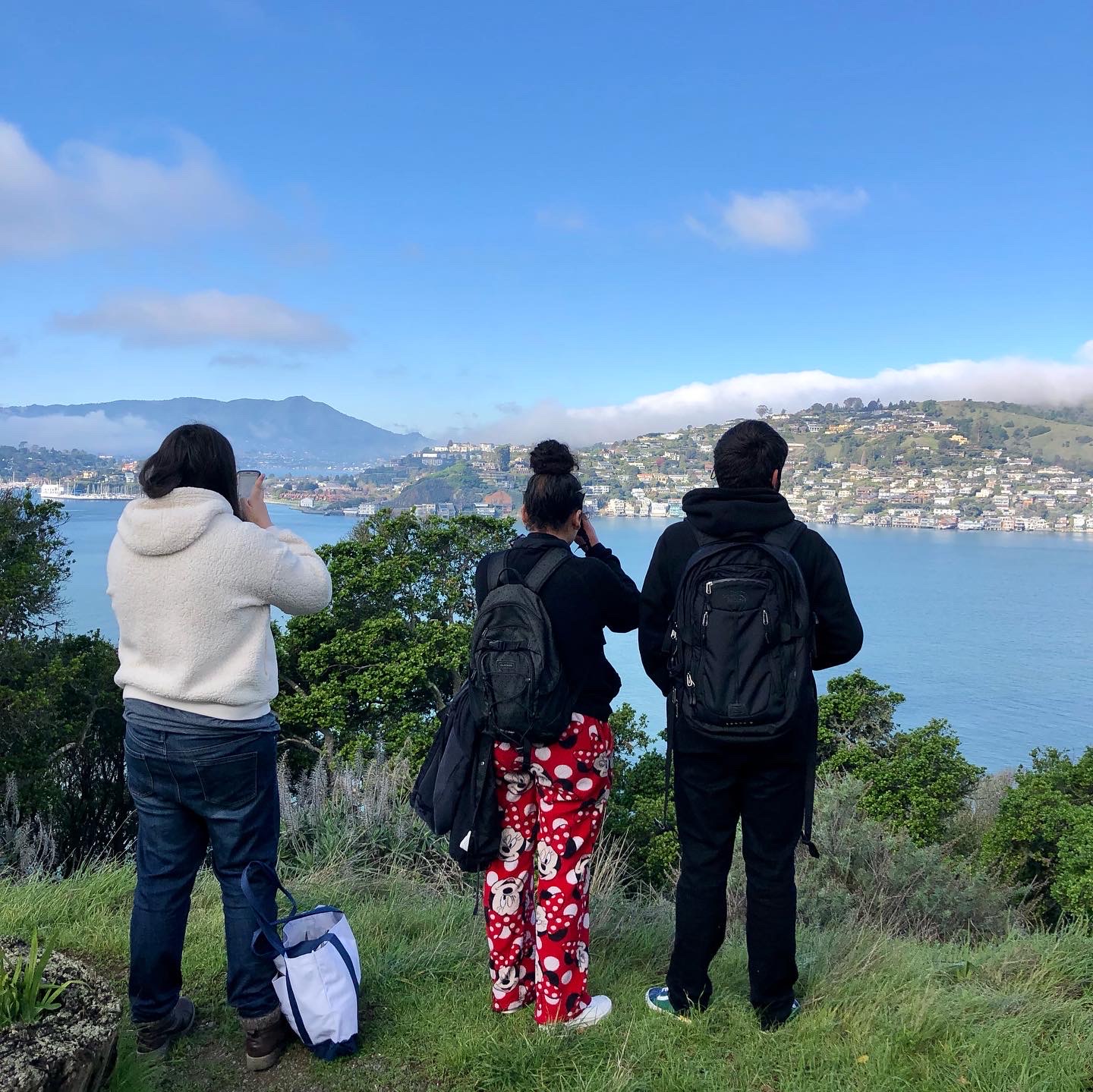 three students on a hill overlooking the bay