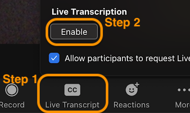 Screenshot of Live Transcription buttons