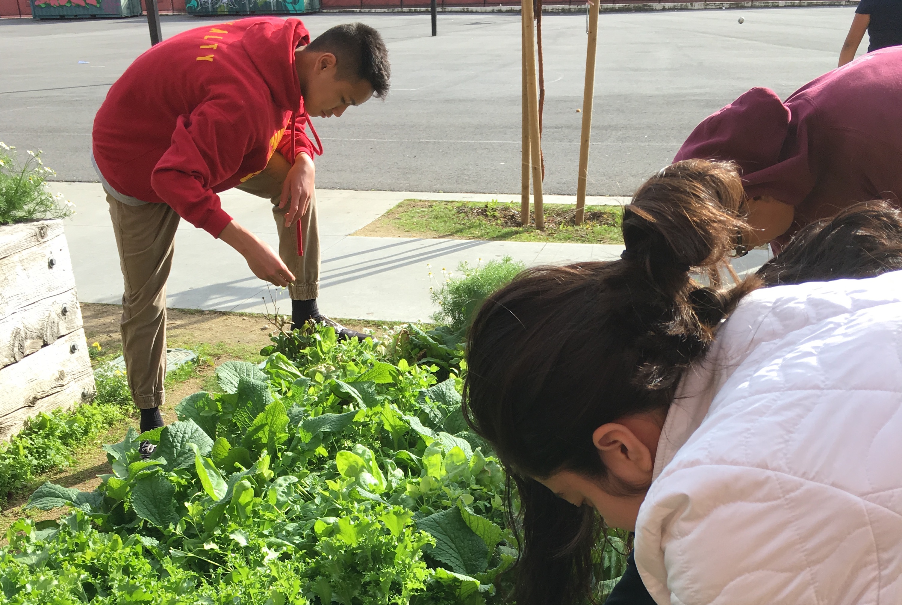 Green Academy Students tending to the school garden.