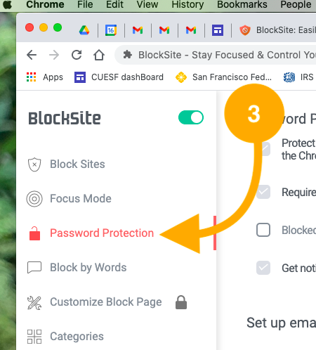 Screen grab of BlockSite Settings showing location of Password Protection 