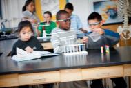 Students engaged in a science lab experiment