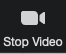 Zoom video button
