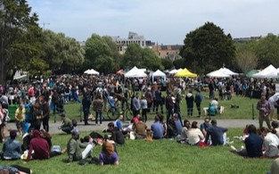 photo of crowd in park
