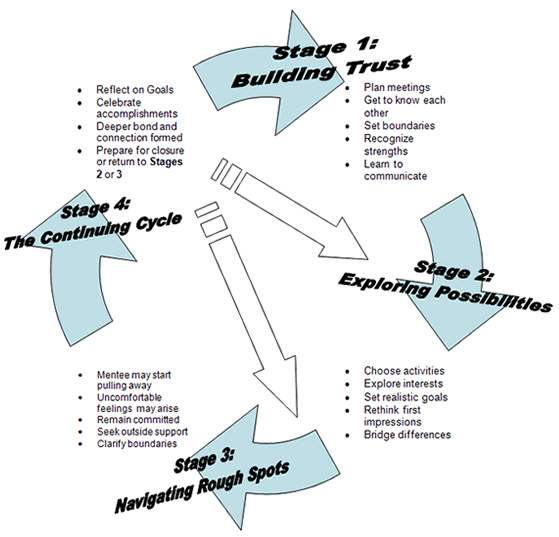 Mentor-Mentee Relationship Cycle: Building Trust, Exploring Possibilities, Navigating rough spots, The continuing cycle 