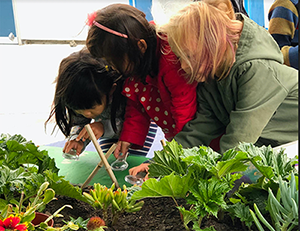 Students examining a garden using magnifying glasses.