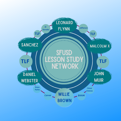 Lesson study network