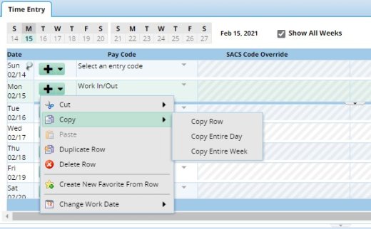 Copy or Delete your timesheet by selecting the row near the plus sign