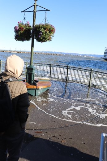 A student looks at the King Tides at the Embarcadero during a field trip.