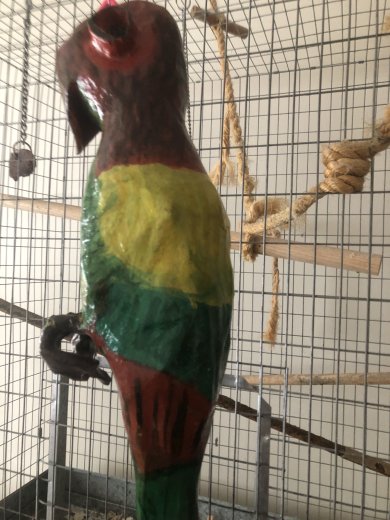 Margaret Pai's parrot sculpture from when she was a 4th grader at Longfellow Elementary
