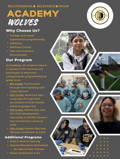 Academy Program Description 