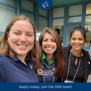 This is an image using Embed media image. Center aligned, with embed small size.