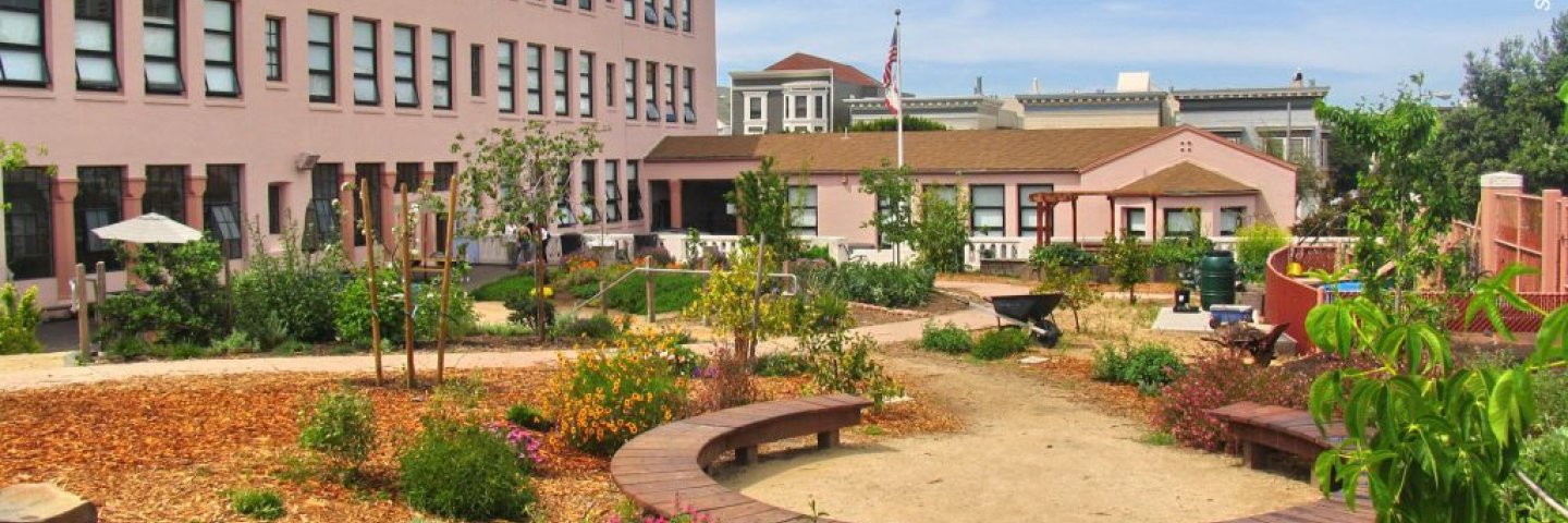 green school yard