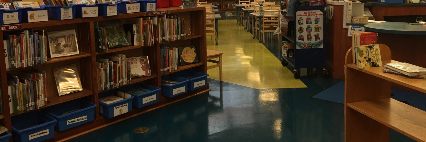 McKinley Library shelves