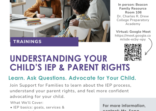 Flier for IEP workshop