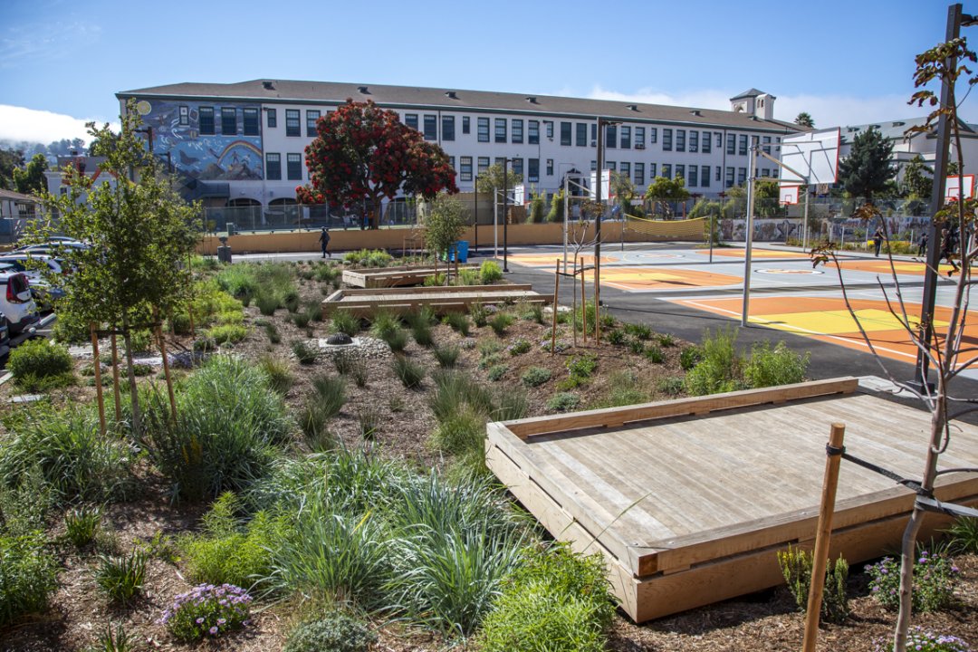 Everett MS Bioretention Area