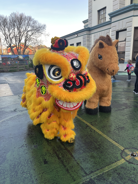 Close up of a yellow dragon