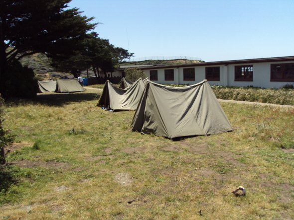 Five tents in a field next to a building and tree.