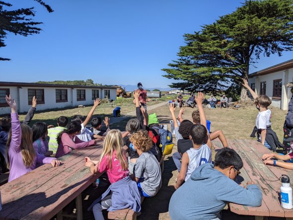 Students raising their hands at picnic tables