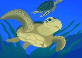 drawing of turtle swimming in ocean