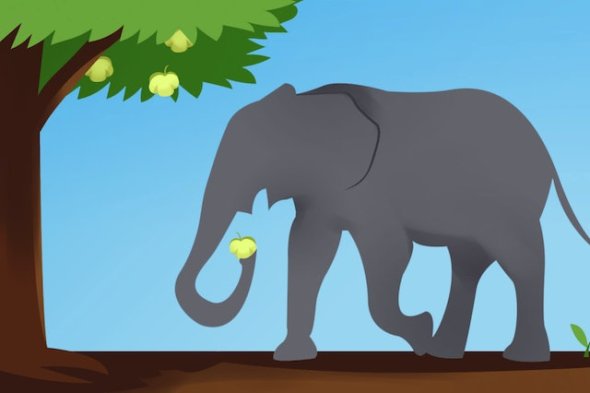 Elephant eating fruit from a tree