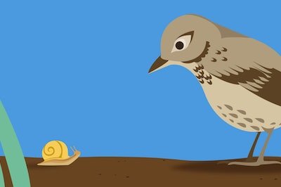 Drawing of bird facing a snail