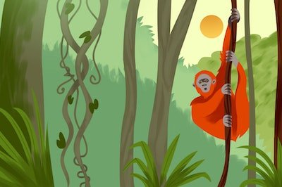 Drawing of a monkey hanging from a vine in a jungle