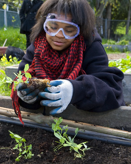 Student in the garden inspecting a young plant before planting