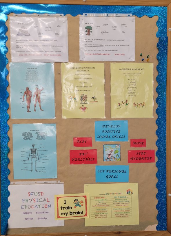 PE bulletin board focused on: develop positive social skills, move, stay hydrated, set personal goals, eat healthy, and play