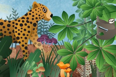 Illustration of fauna and flora within a rainforest