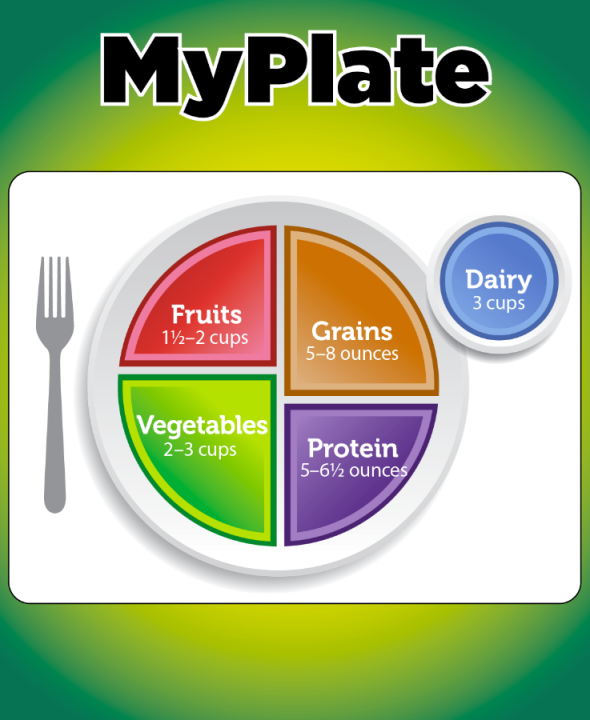 Diagram of plate showing recommended portions for fruits, grains, vegetables, protein, dairy