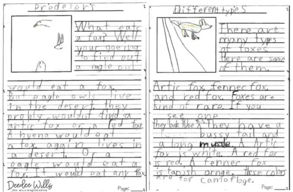 Example of Second Grade informational writing