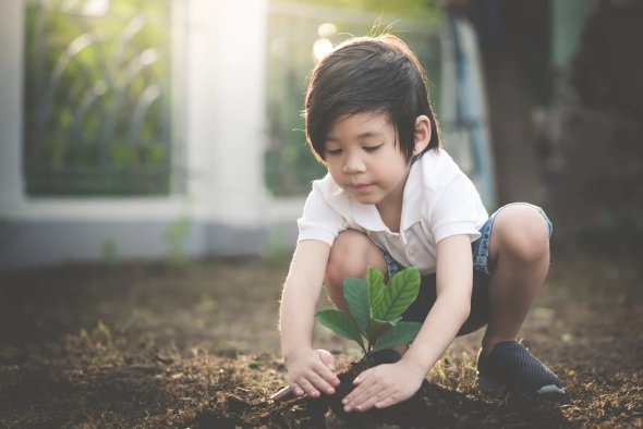 child planting a plant in the ground