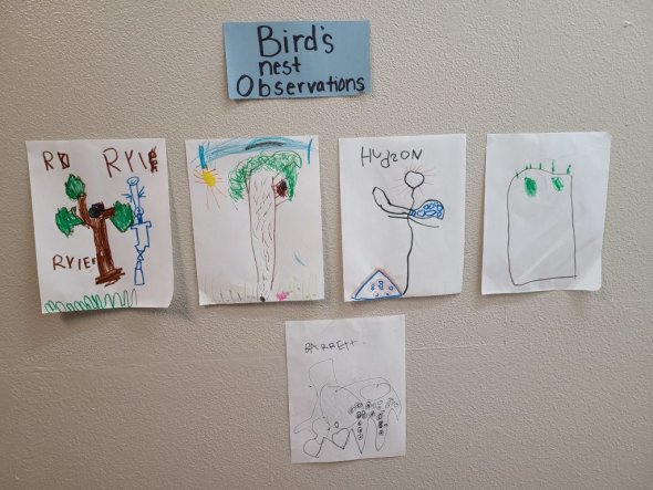 picture of science documentation in prek