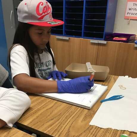 4th-grade student writing in science journal
