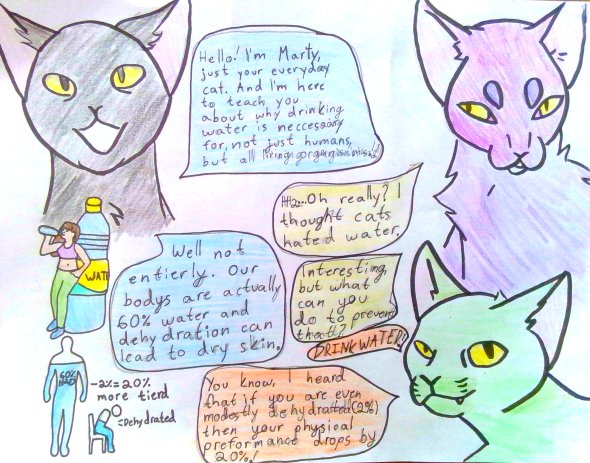 Student artwork: Buena Vista Middle School