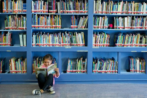 girl reading book in front of library shelves 