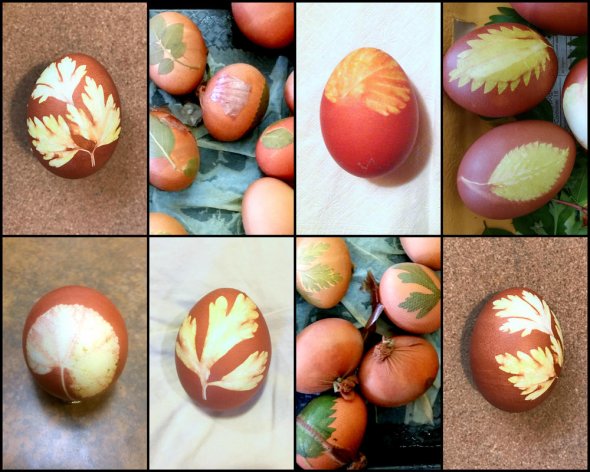 Collage of dyed eggs