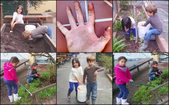 Collage of students doing gardening activities 