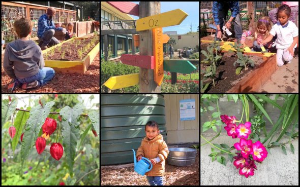 Collage of students participating in gardening activities 
