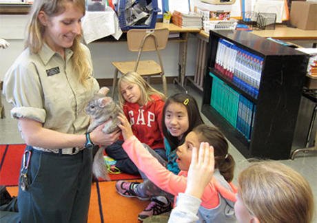 Zookeeper shows students a chinchilla 