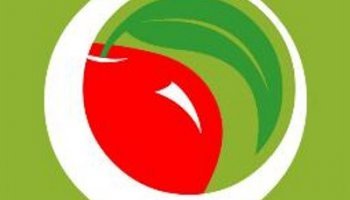 The SEIS logo is a green square with a red apple in the middle of a white circle