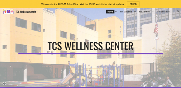 TCS Wellness Center Google Site