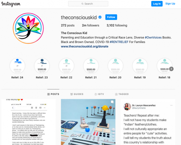 Instagram profile page of the Conscious Kid