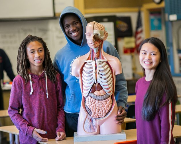 High school students with model of human body
