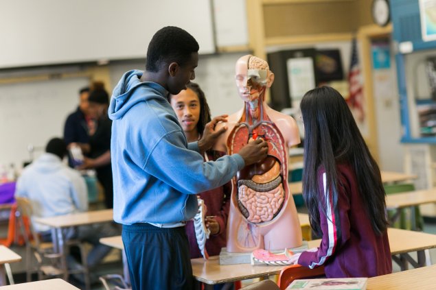High school biology students by model of human body