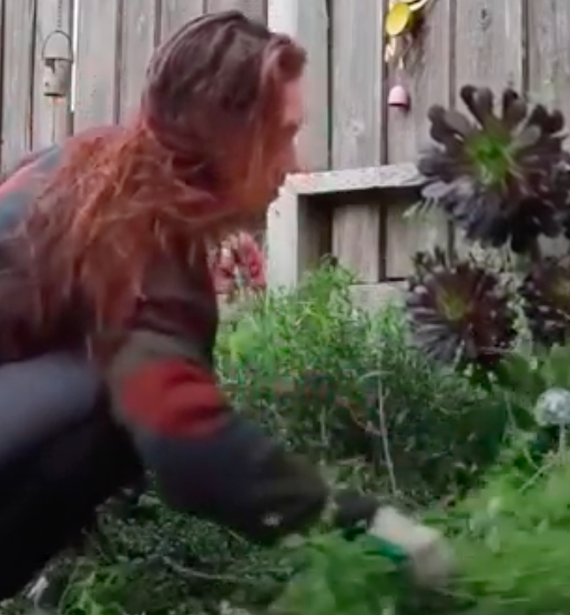 Naturalist Marina pulling weeds in garden.