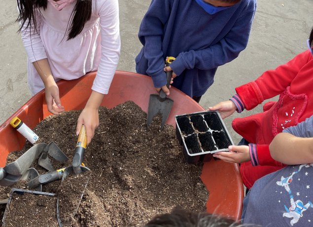 Students adding soil to containers for STEAM